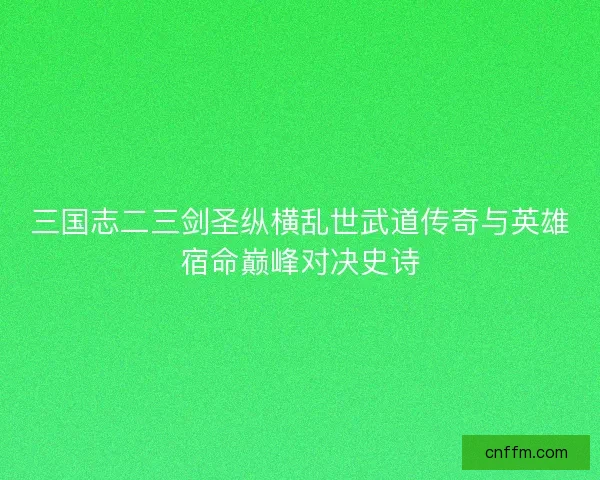 三国志二三剑圣纵横乱世武道传奇与英雄宿命巅峰对决史诗