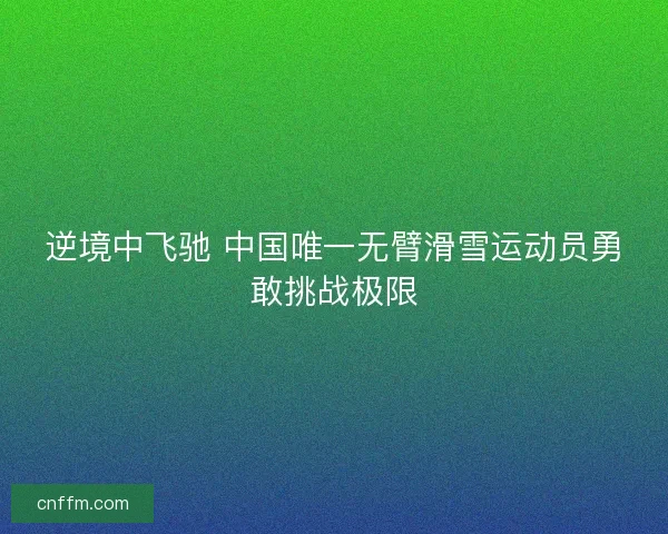 逆境中飞驰 中国唯一无臂滑雪运动员勇敢挑战极限 逆境中飞驰 中国唯一无臂滑雪运动员勇敢挑战极限